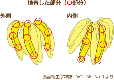 ラブリー青いバナナ 毒性 最高の花の画像