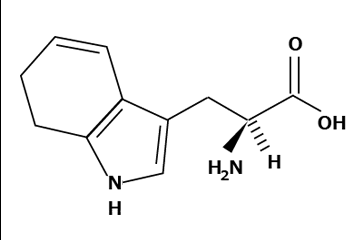 アミノ酸