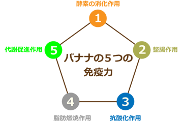 バナナの免疫活性